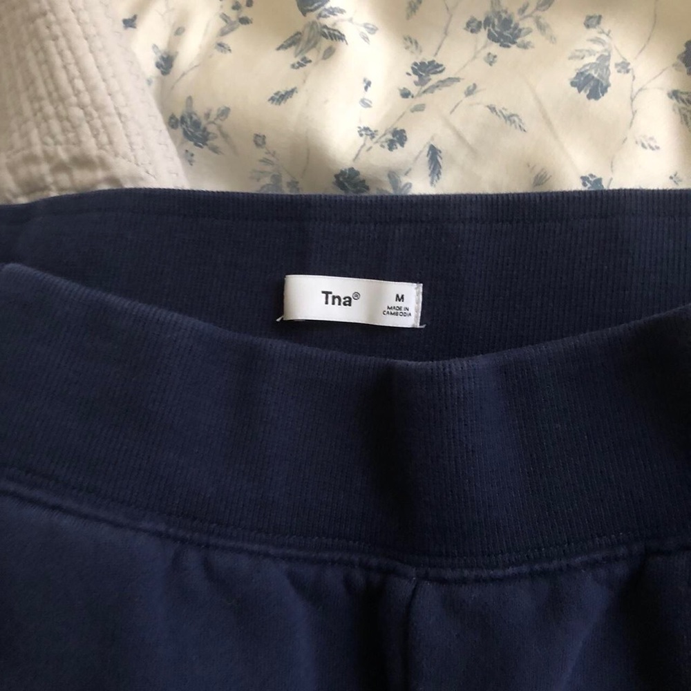 Aritzia TNA Blue Sweatpants